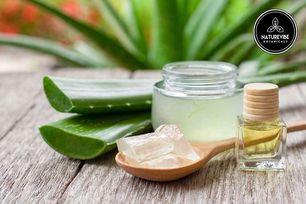 Naturevibe Botanicals Aloe Vera Oil jar seal showing freshness.