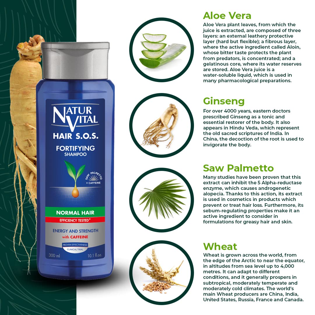 Hands massaging scalp to distribute shampoo evenly.