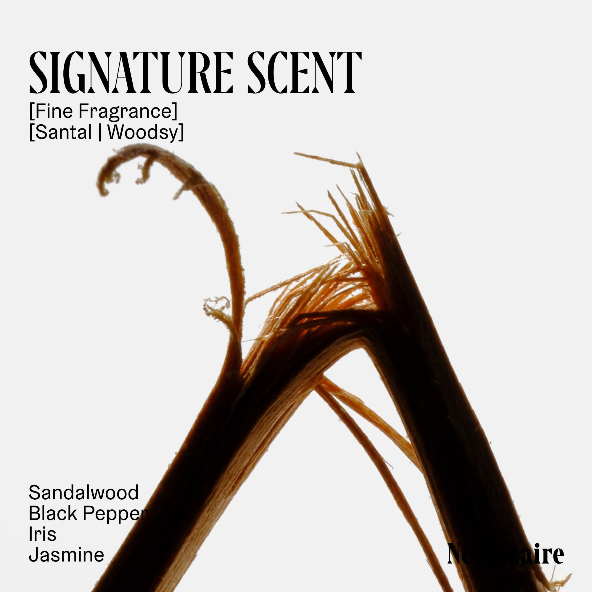 Nécessaire sandalwood oil close-up suggests a warm, inviting fragrance.