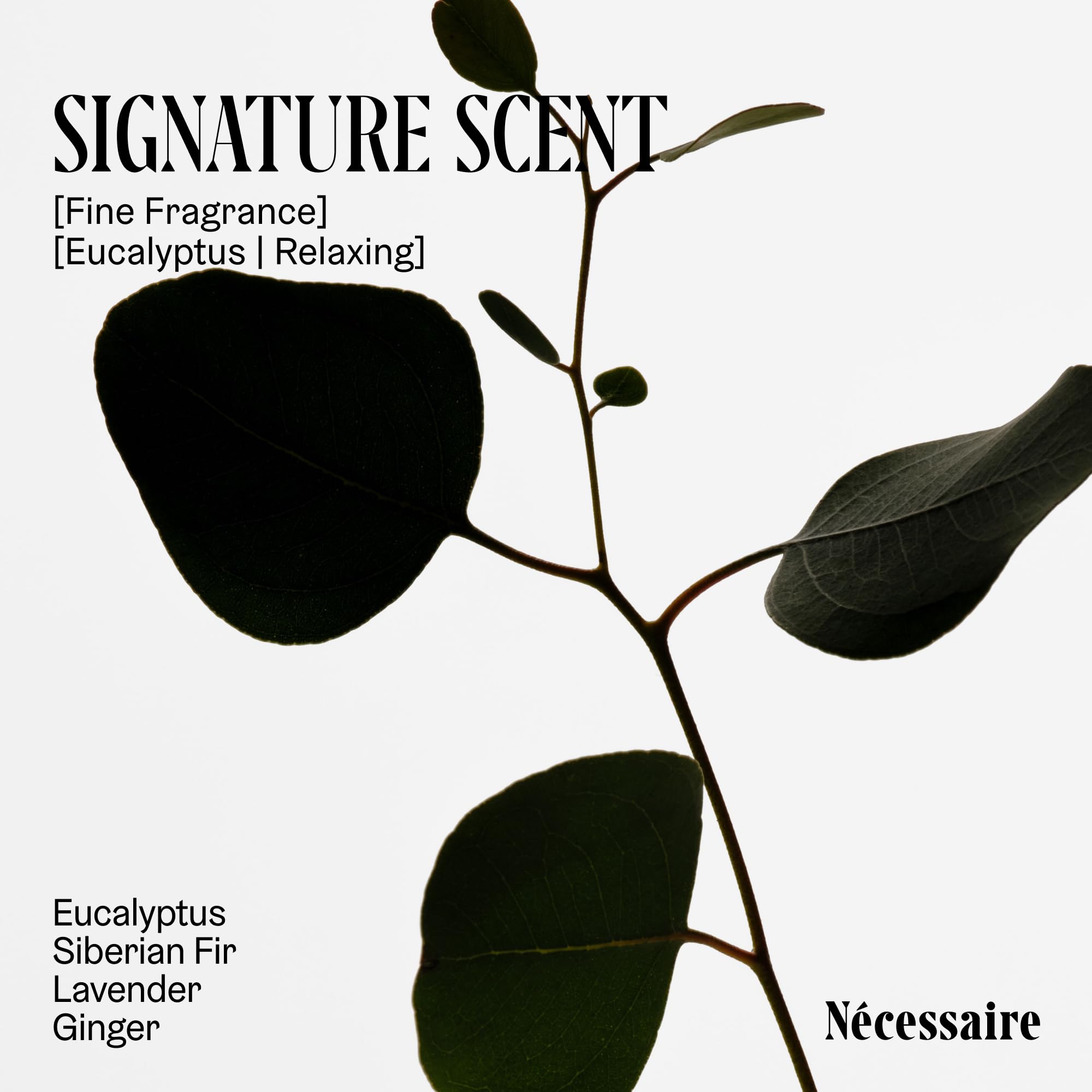 Nécessaire Eucalyptus deodorant fragrance notes of Siberian fir and lavender on packaging.