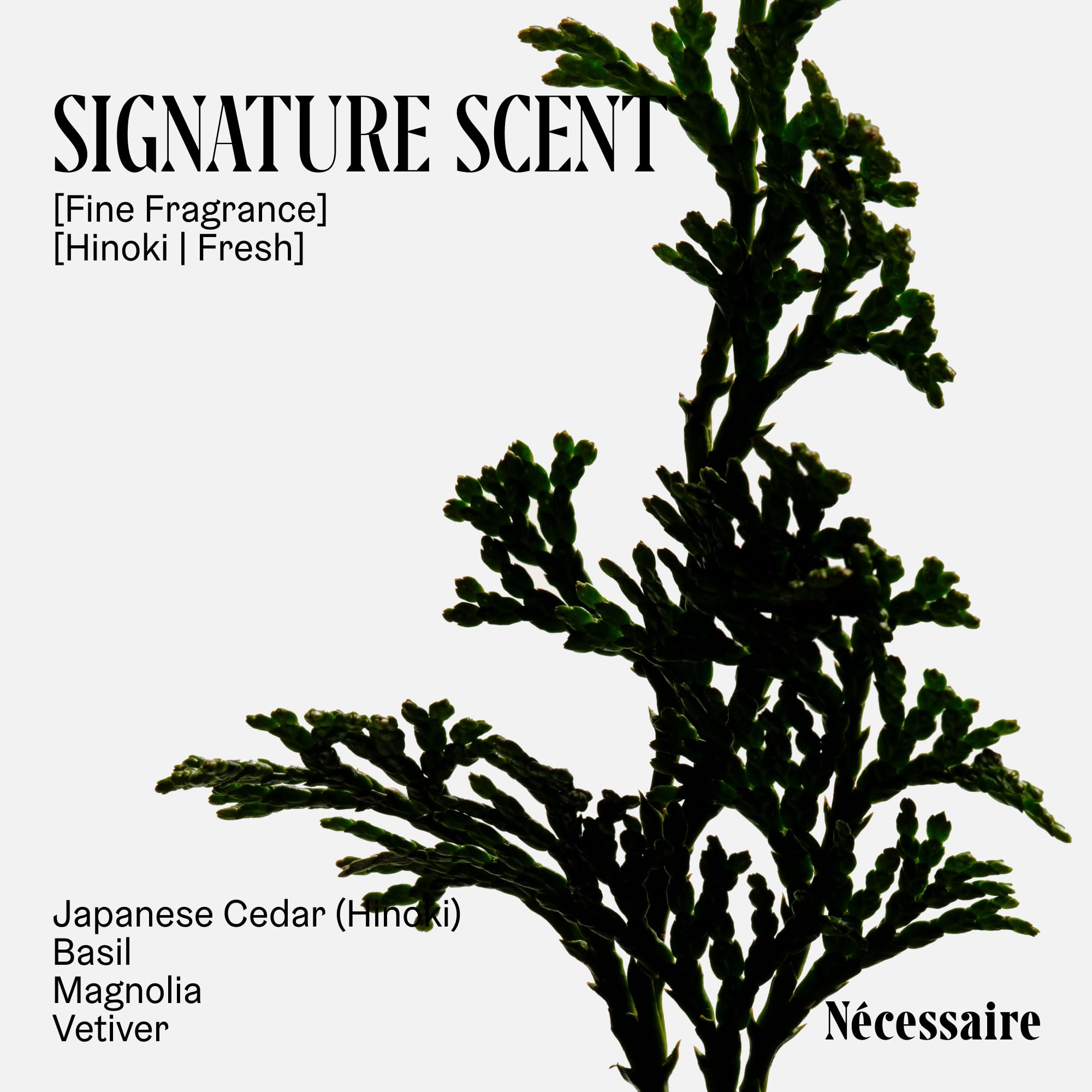 Nécessaire Hinoki scent notes of hinoki and basil create a refreshing shower aroma.