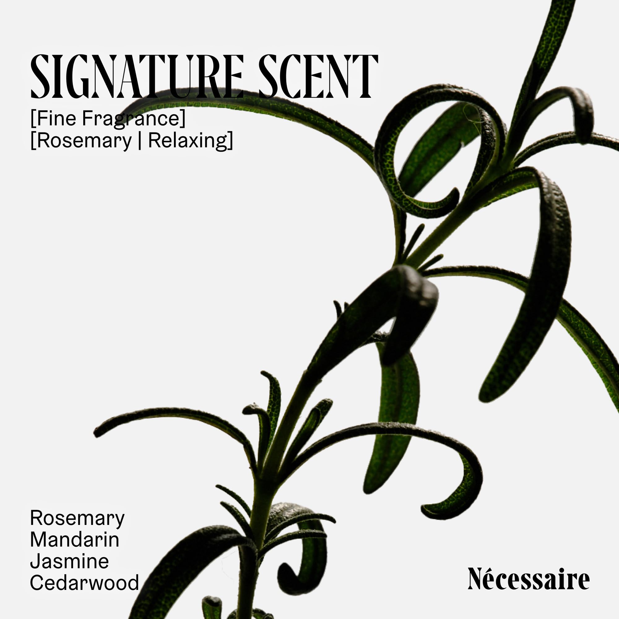 Nécessaire Rosemary Conditioner in use during detangling routine.