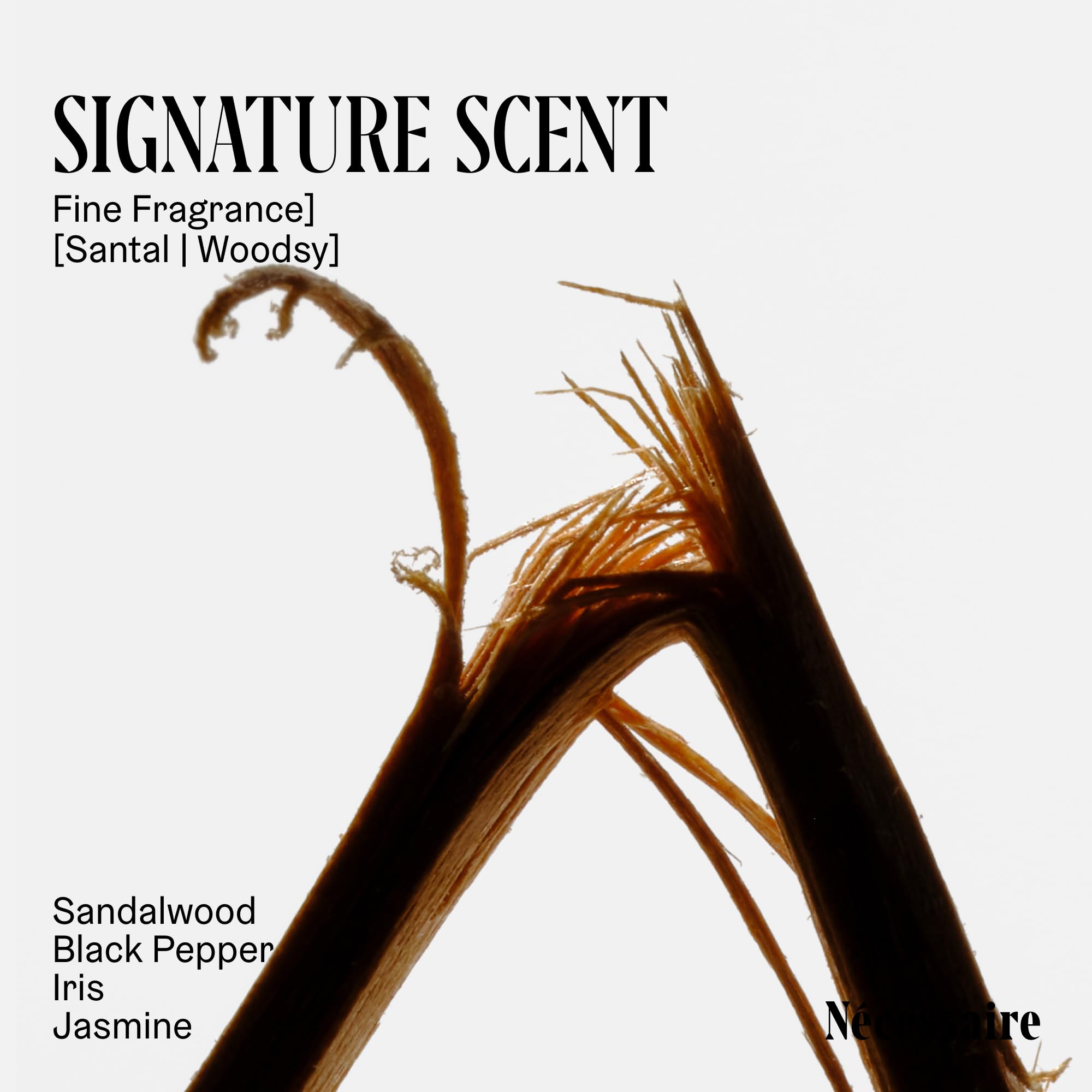 Nécessaire Santal sandalwood fragrance close-up with warm notes