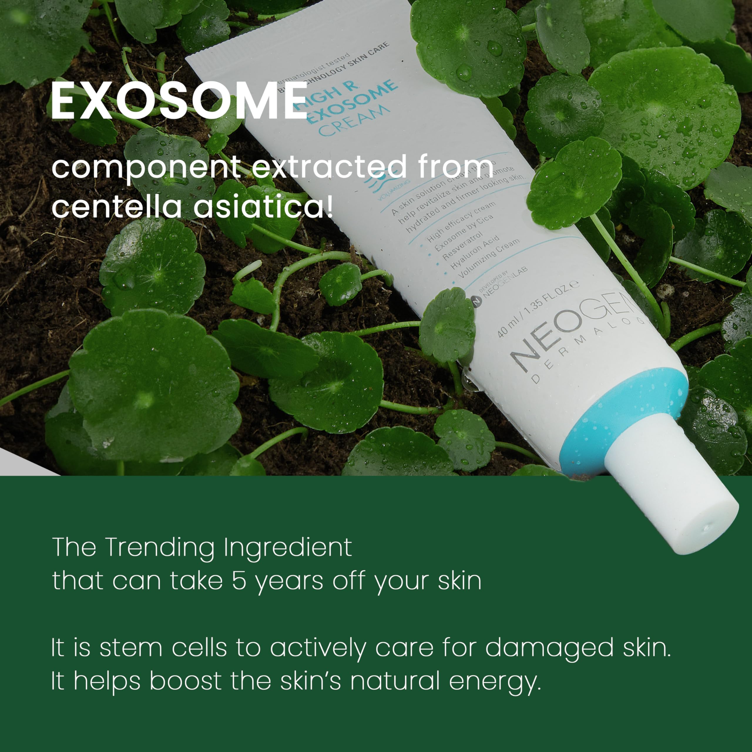 Hyaluronic acid layer in NEOGEN High R Exosome Cream for multi-depth moisture.