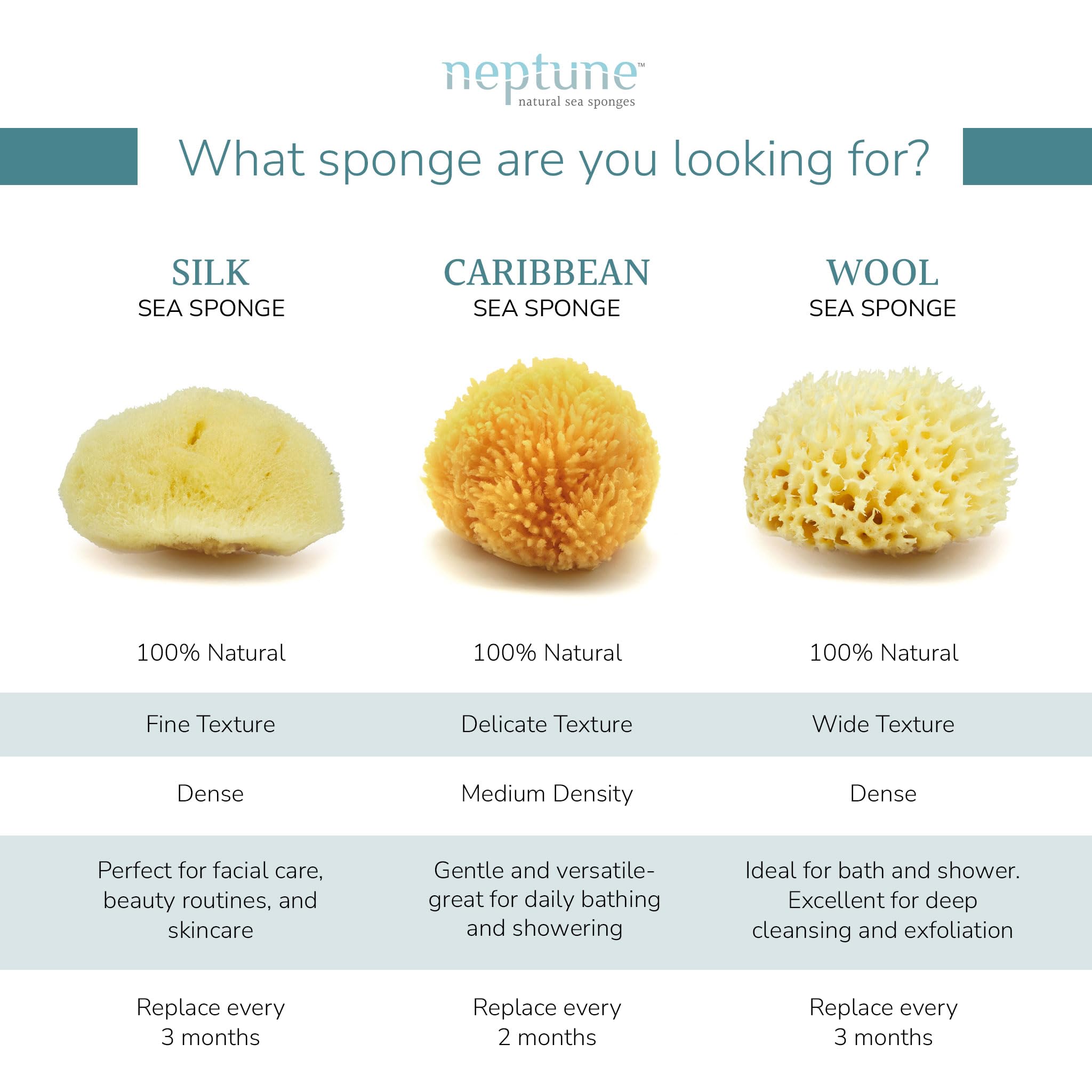 Neptune Caribbean Sea Sponge offers a soft delicate texture gentle on skin