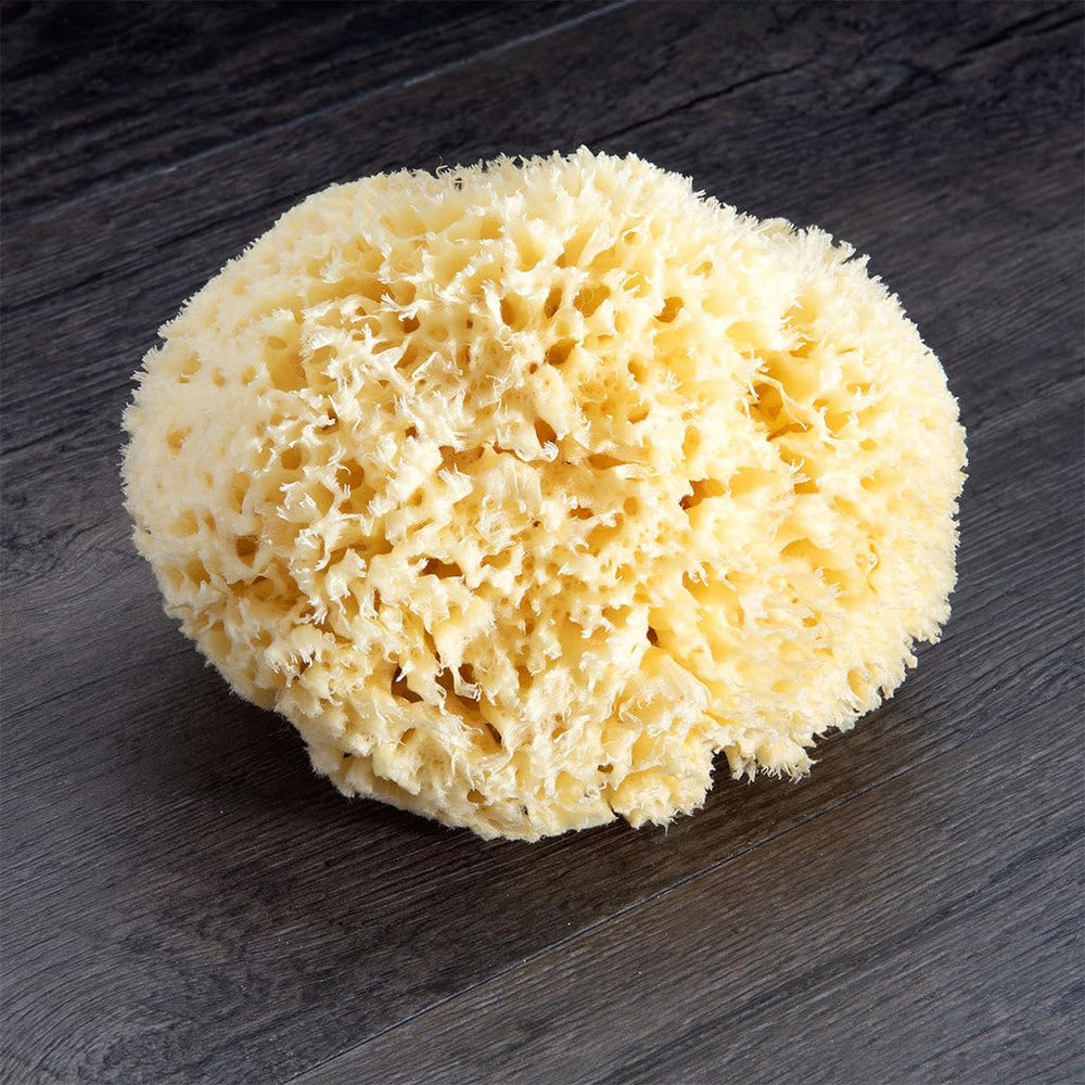 Neptune Natural Sea Wool Sponge close-up honeycomb structure for soft cleaning
