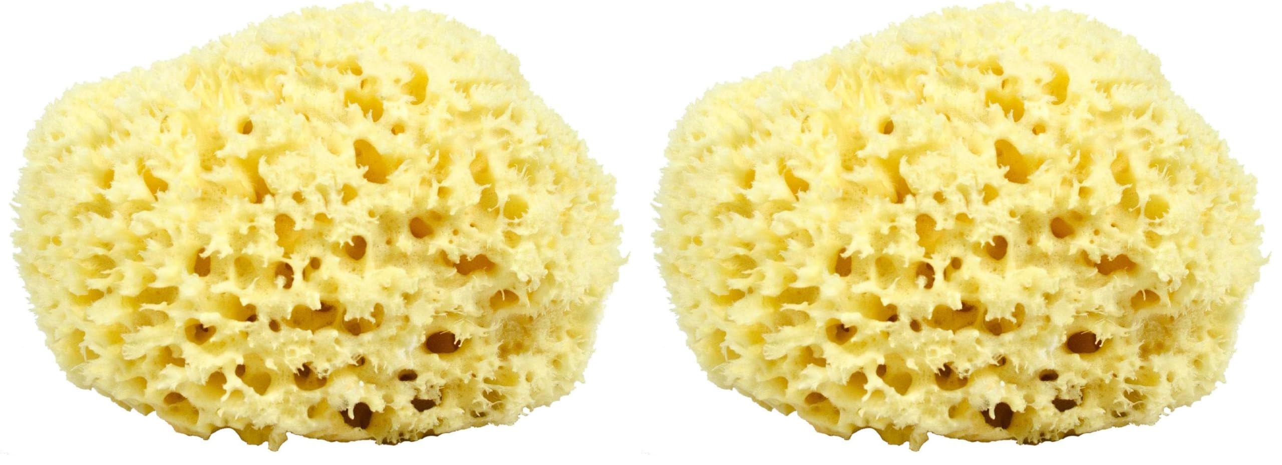 Neptune Natural Sea Wool Sponge with hand-cut honeycomb texture for gentle exfoliation