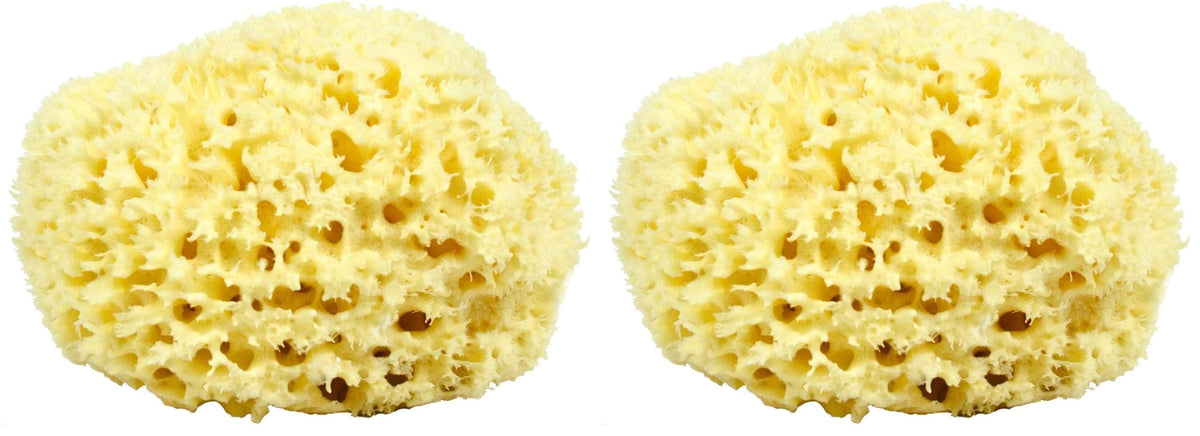 Neptune Natural Sea Wool Sponge with hand-cut honeycomb texture for gentle exfoliation