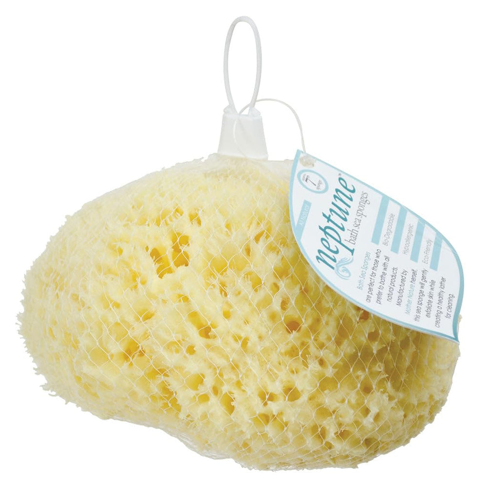 Neptune Natural Sea Wool Sponge kitchen and bath cleaning with natural texture