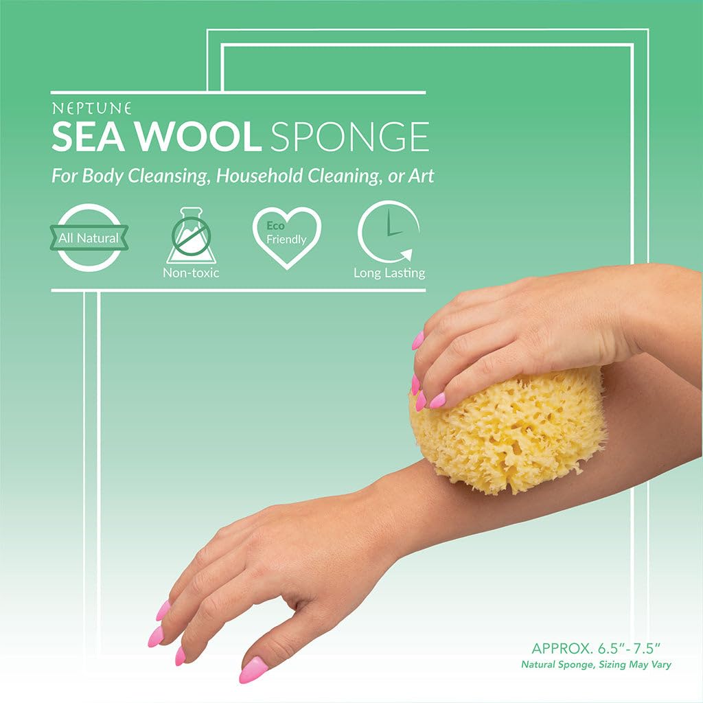 Neptune Natural Sea Wool Sponge from Mediterranean harvest supports renewable materials