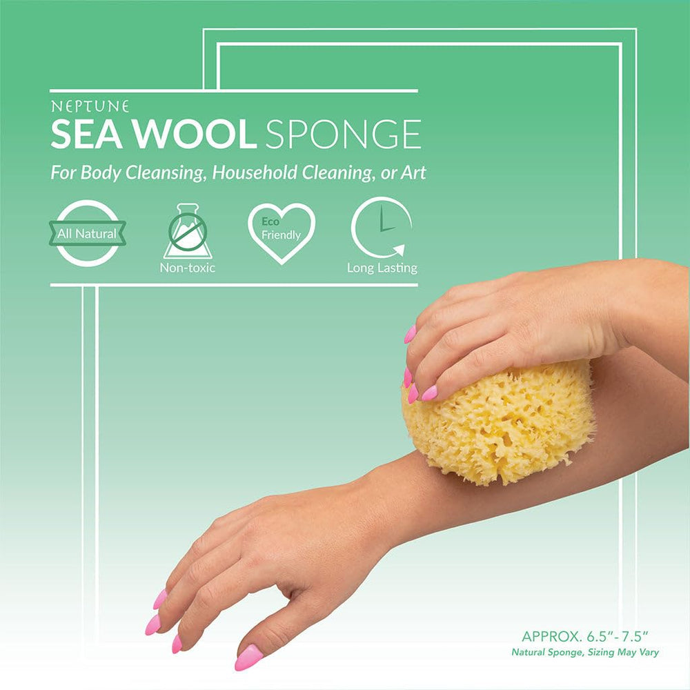 Neptune Natural Sea Wool Sponge from Mediterranean harvest supports renewable materials