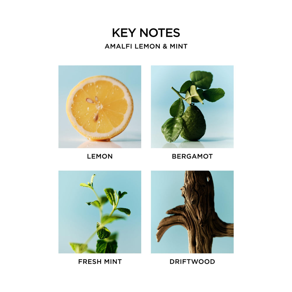 NEST New York Amalfi lemon mint lather displaying rich foam for skin care