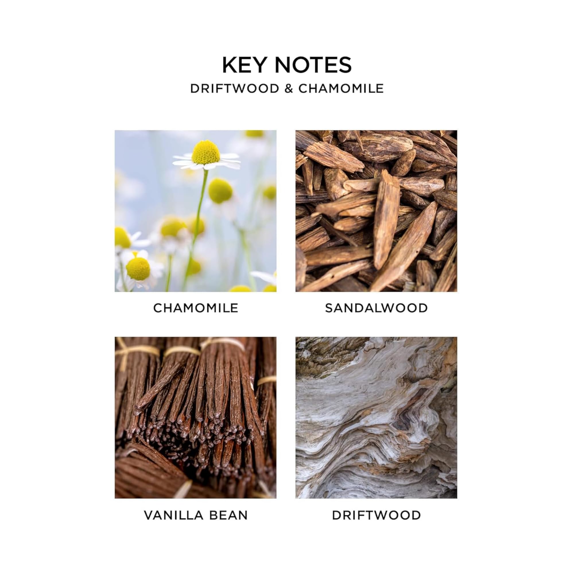 Nest New York liquid soap pump dispensing with earthy notes of chamomile and driftwood