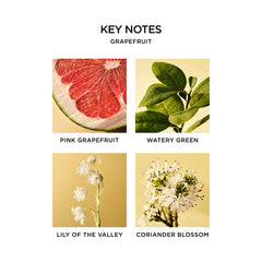 NEST New York Grapefruit Liquid Soap hand application during daily routine.
