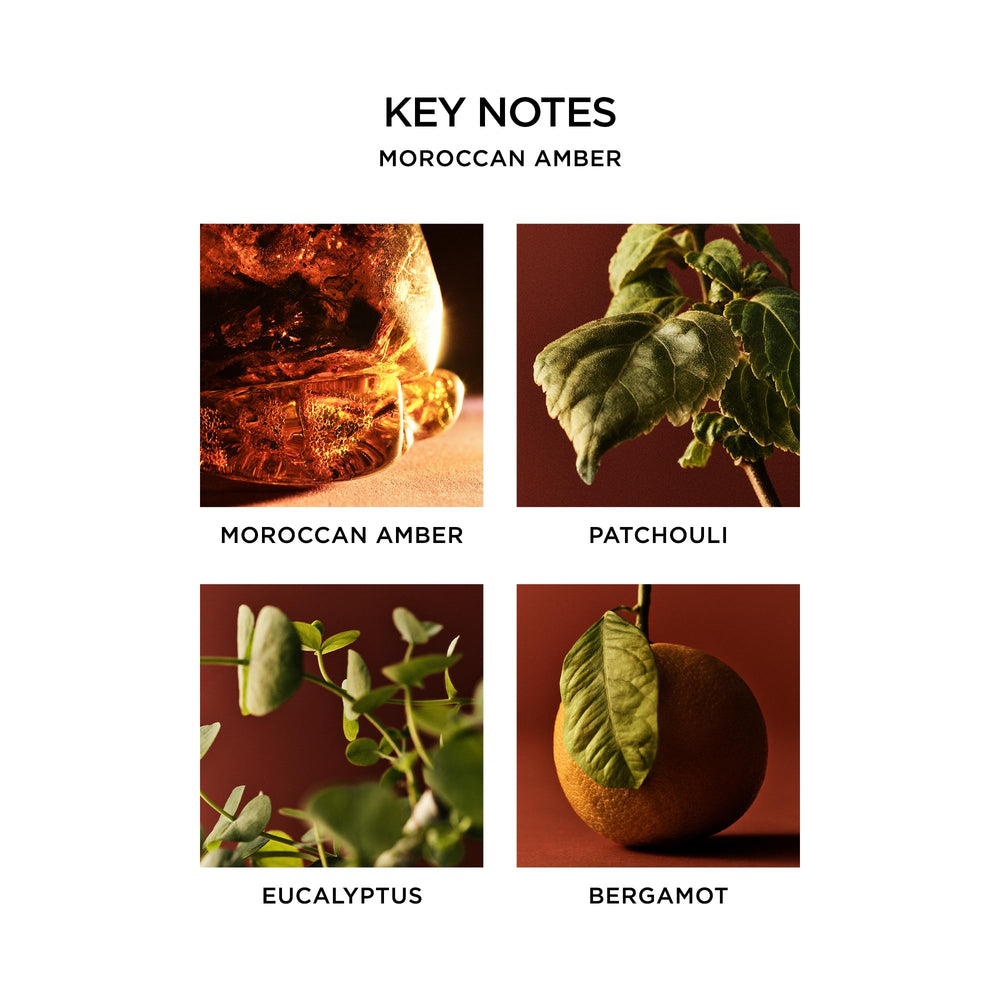 NEST New York Moroccan Amber ingredients highlight plant extracts for gentle cleansing and nourishment.