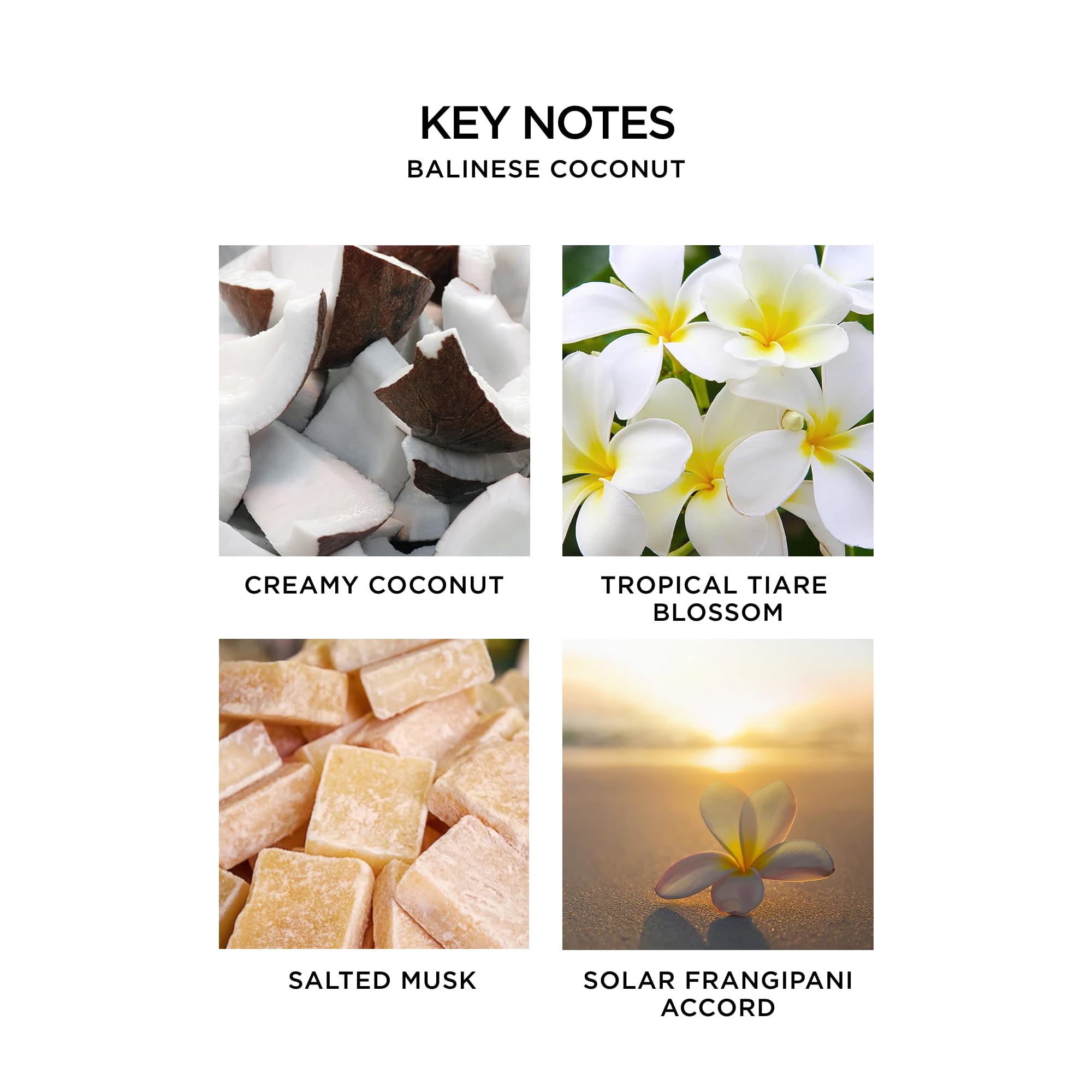 Nest New York Turkish Rose perfume oil enhances mood with floral notes