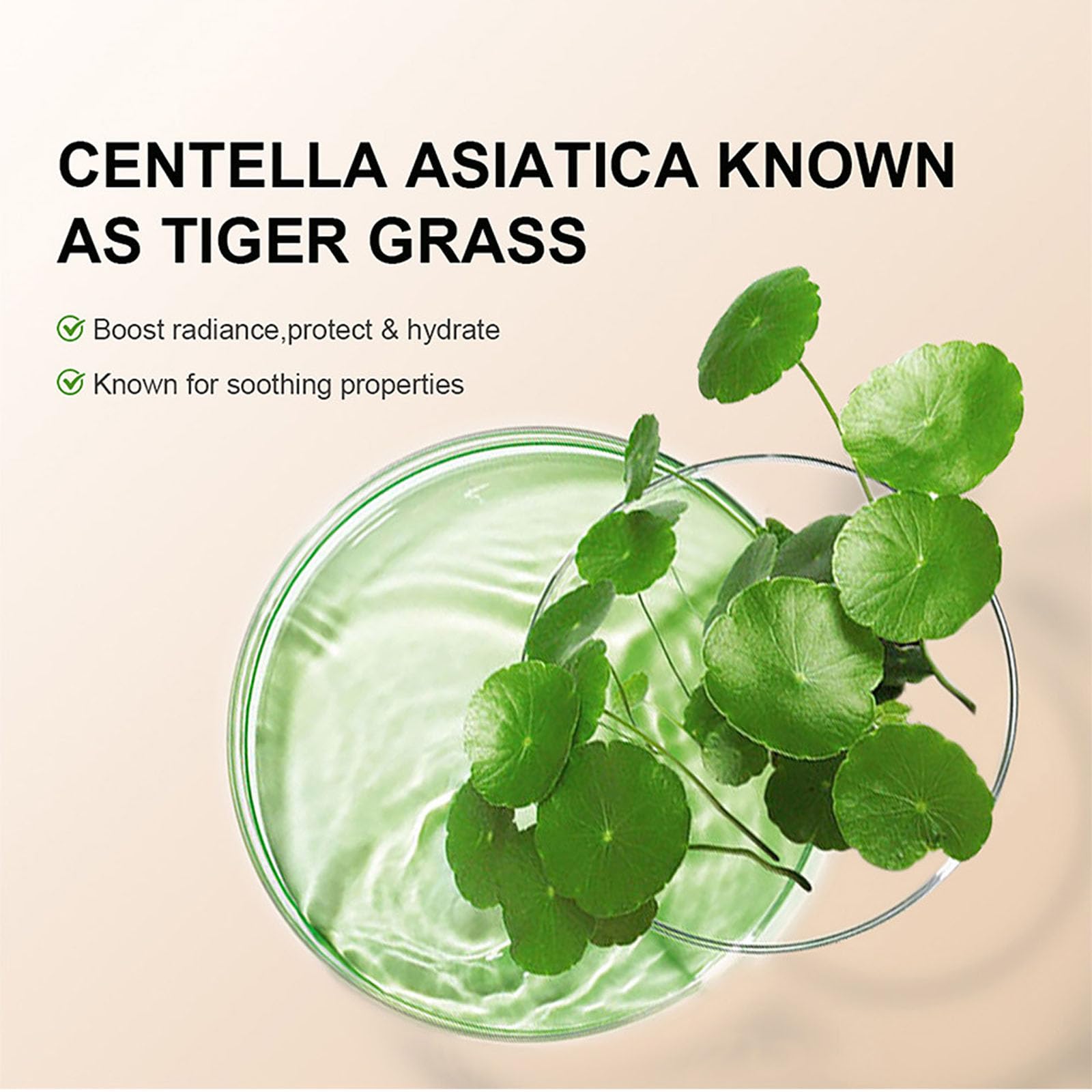 New Irven Centella Asiatica CC Cream offers comforting hydration for versatile skin types.