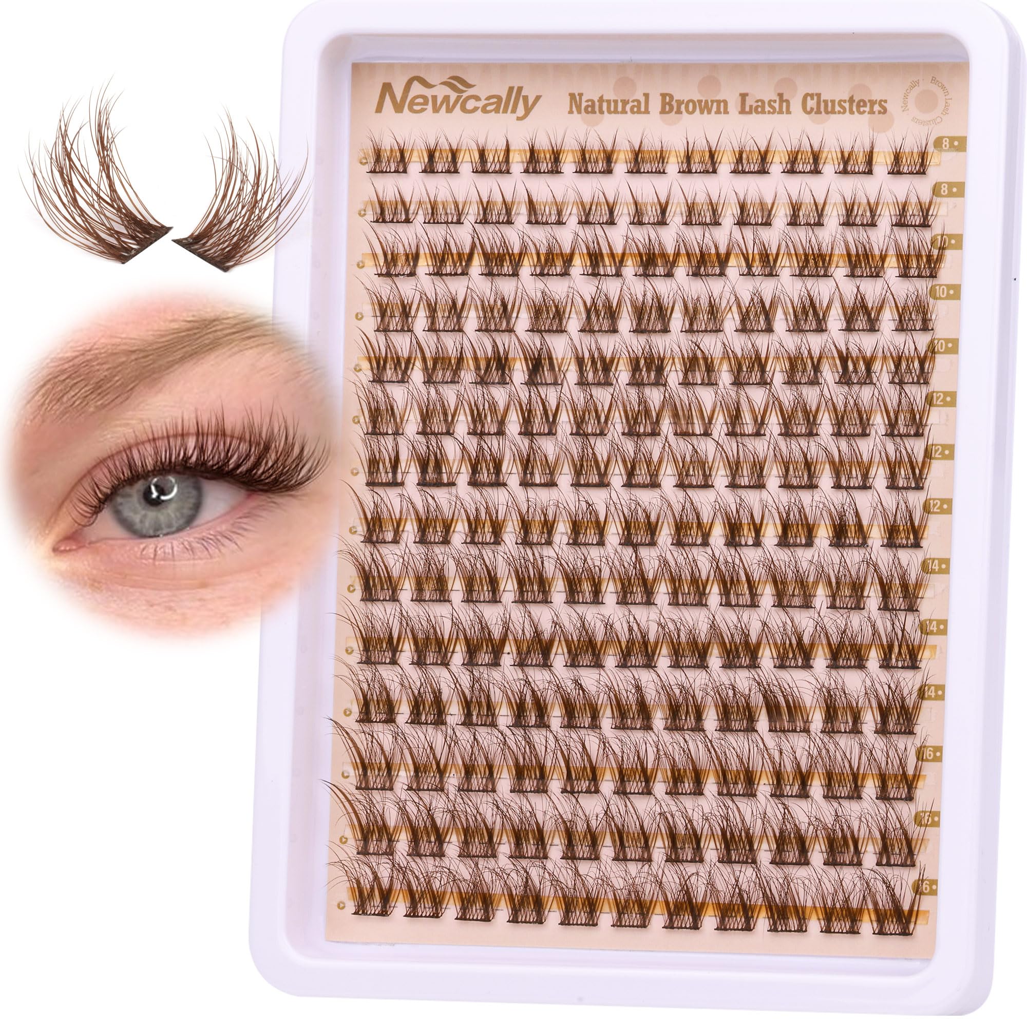 Newcally brown lash clusters packaging for easy storage and travel.