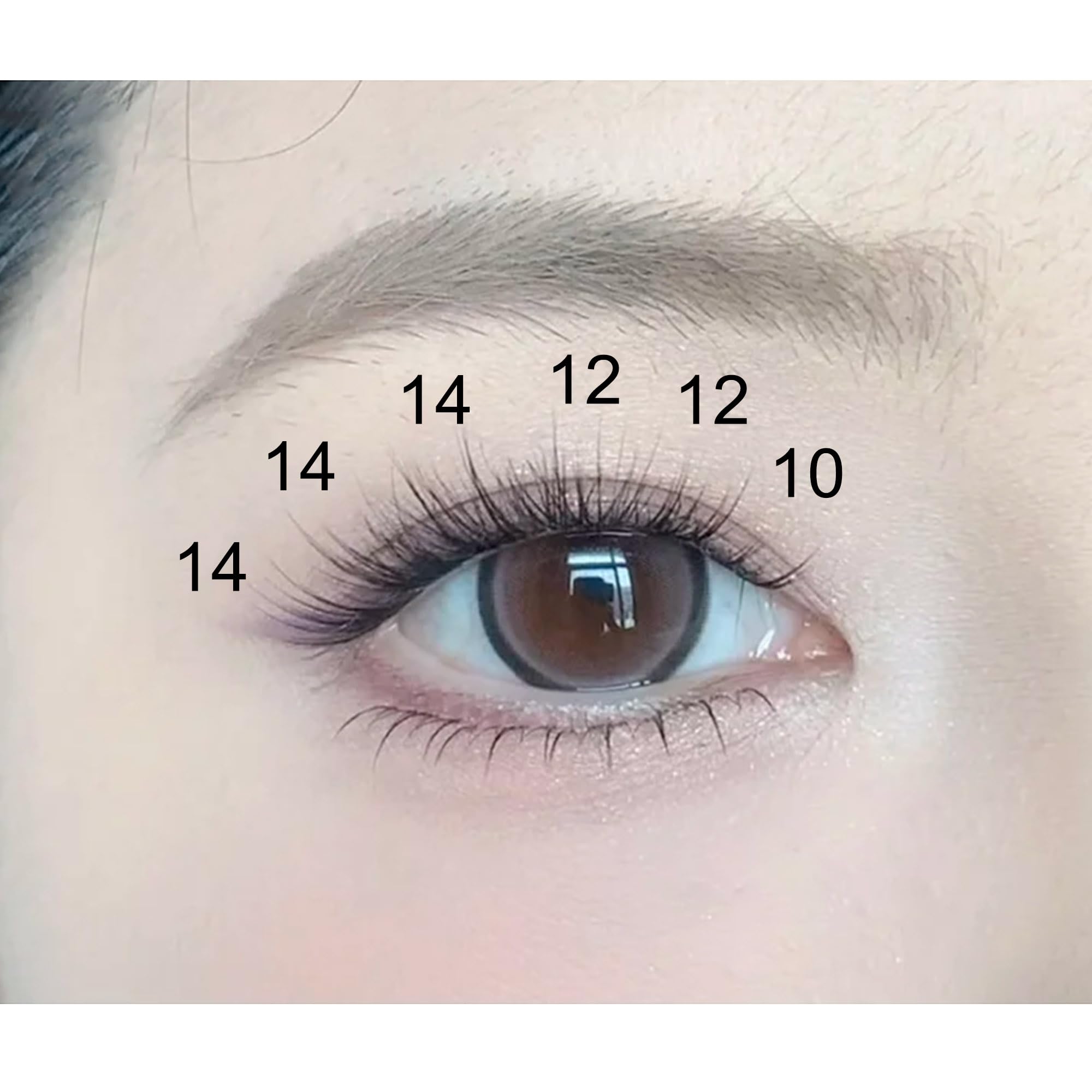 Ninglash NF14 lengths 10-12-14-16 mm for customizable styles.