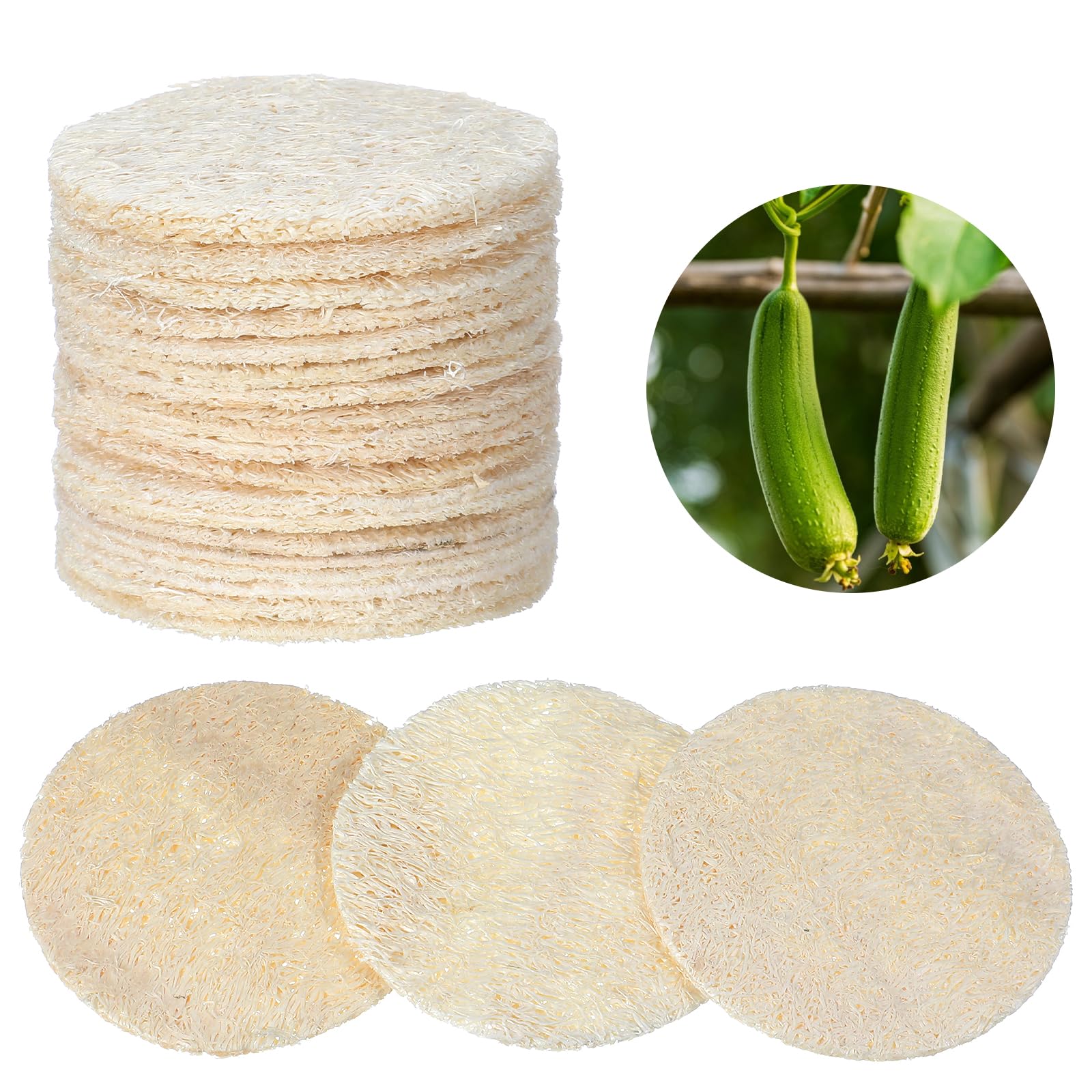 Nogeqi loofah pad ready for cleanser use and facial refreshment.