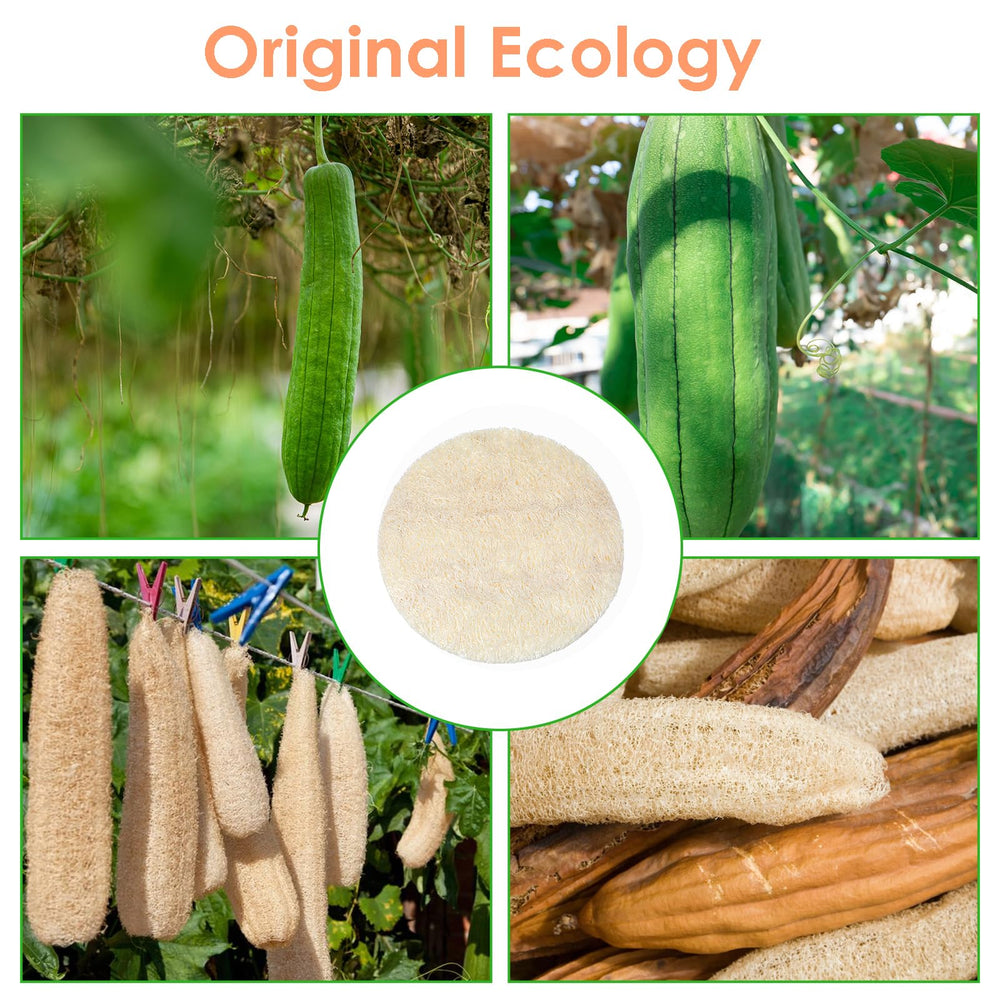 Nogeqi loofah pad compact travel pack for on the go cleansing.