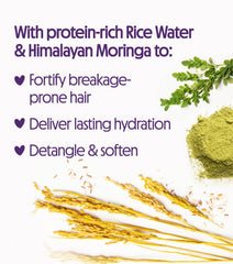 Not Your Mother's Naturals rice water and moringa blend ingredients illustration