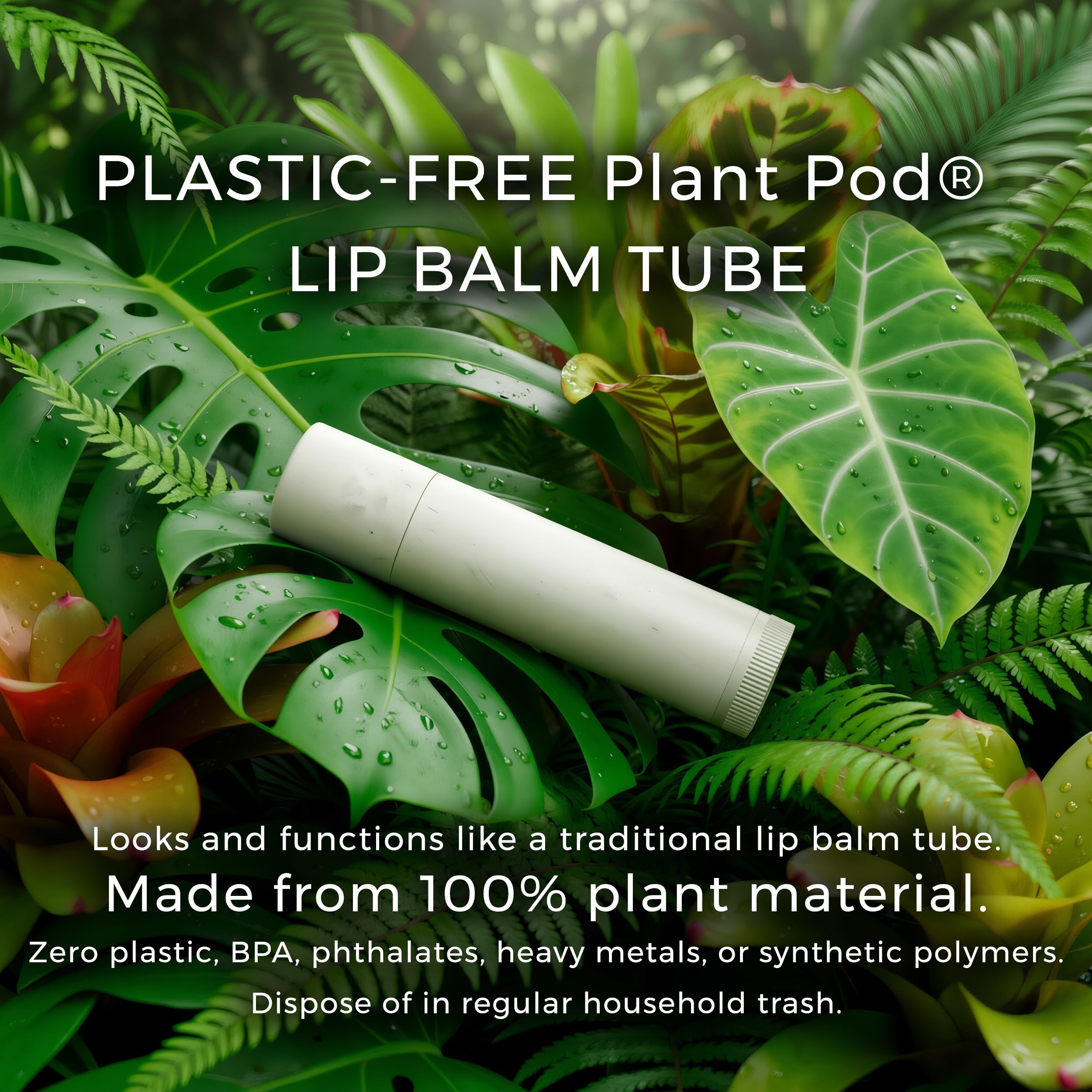 Eco-friendly, plastic-free packaging emphasizes sustainable lip care.