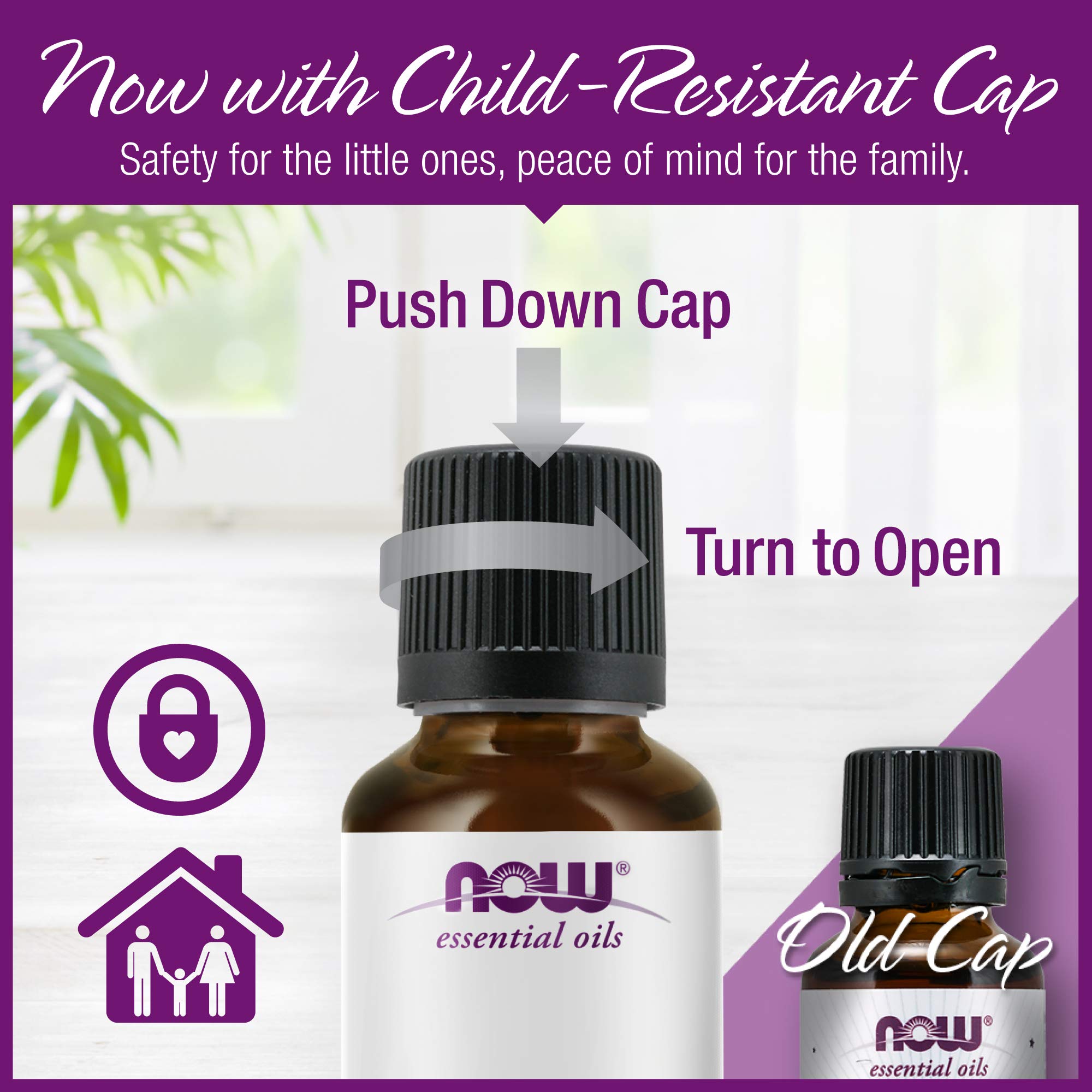 NOW Foods Rose Hip Seed Oil ingredient profile highlighting omega-6 fatty acids