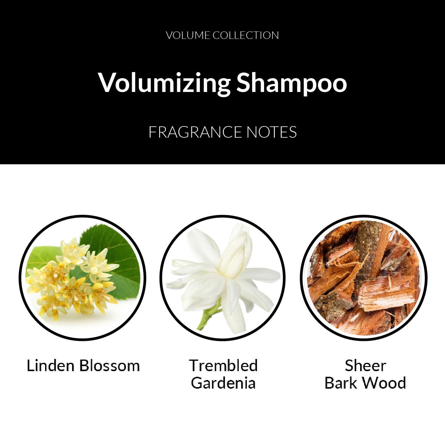 Number 4 Hair Shampoo anti-aging benefits help maintain youthful-looking hair.