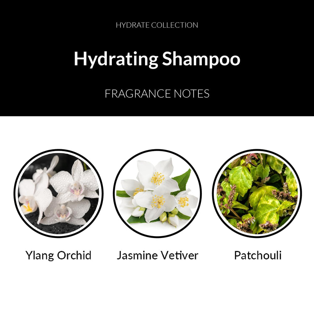 Number 4 Hydrating Shampoo brand logo signals premium, sulfate-free cleansing.