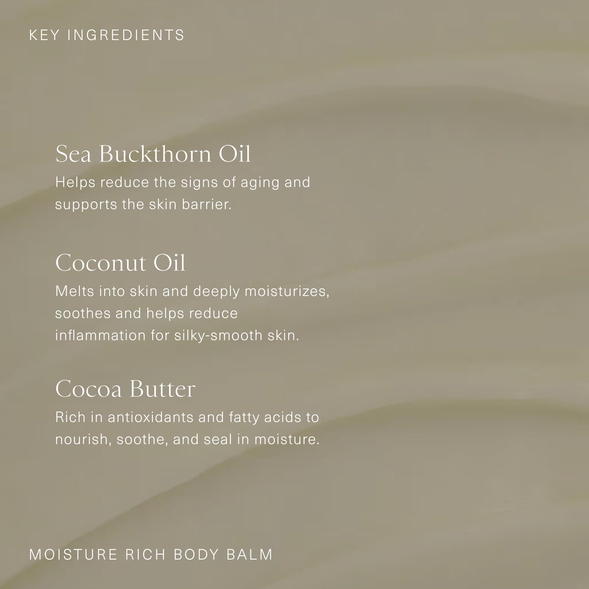Oak Essentials Cocoa Butter cream swatch illustrating rich hydration for dry skin.