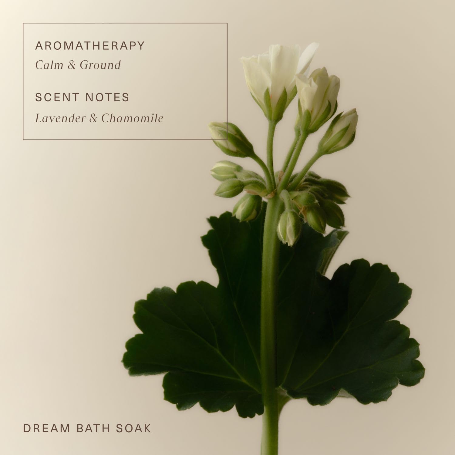 Bath scene with Oak Essentials Dream Bath Soak for a tranquil evening ritual