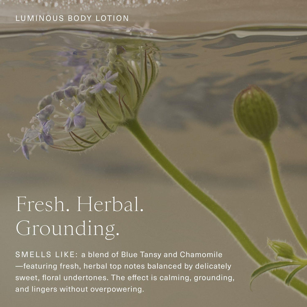 Oak Essentials Luminous Body Lotion turmeric extract supports antioxidant-inspired glow.