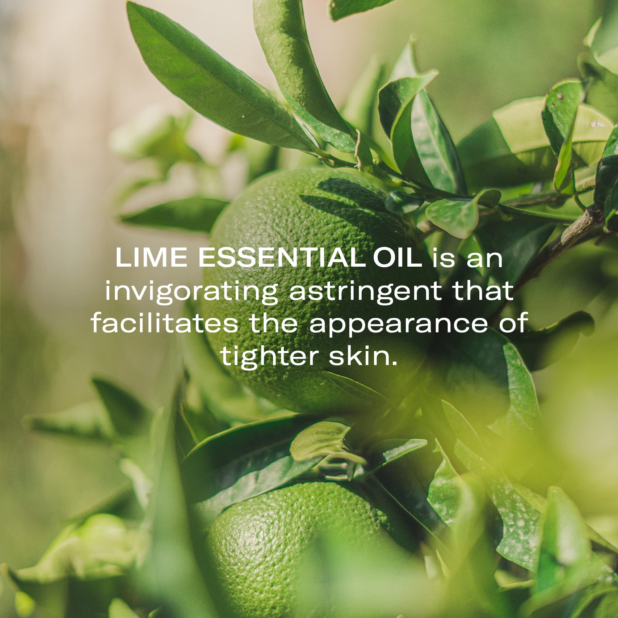 Odacité lime essential oil infusion image indicates invigorating skin feel