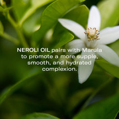Odacite Ma+N Neroli oil blend highlighting soothing fragrance and skin suppleness.