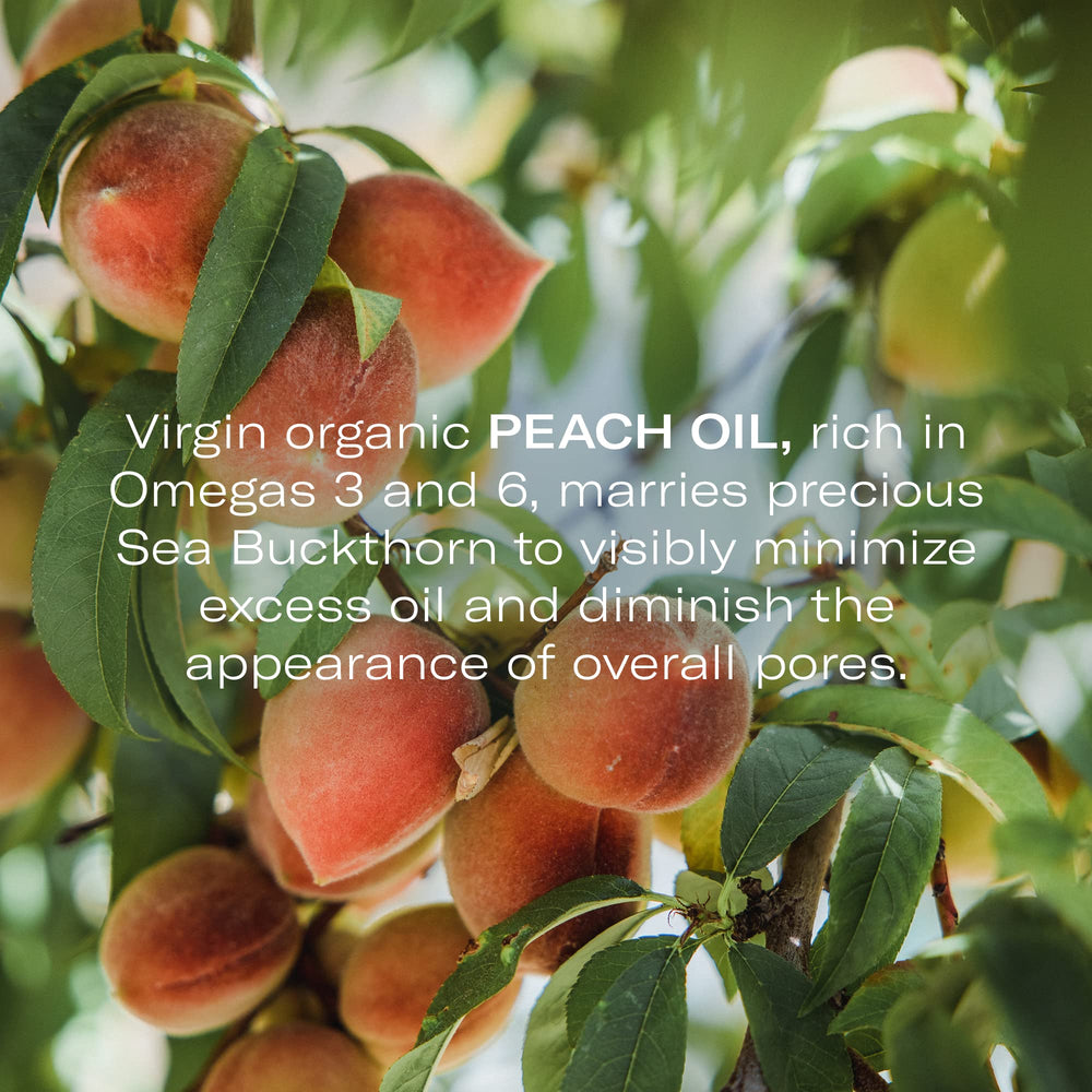 Odacité sea buckthorn essence from Himalayas supports radiant balanced skin