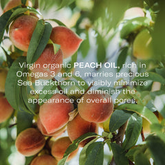 Odacité sea buckthorn essence from Himalayas supports radiant balanced skin