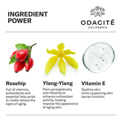 Odacité ylang-ylang oil closeup highlighting aroma and skin nourishment.