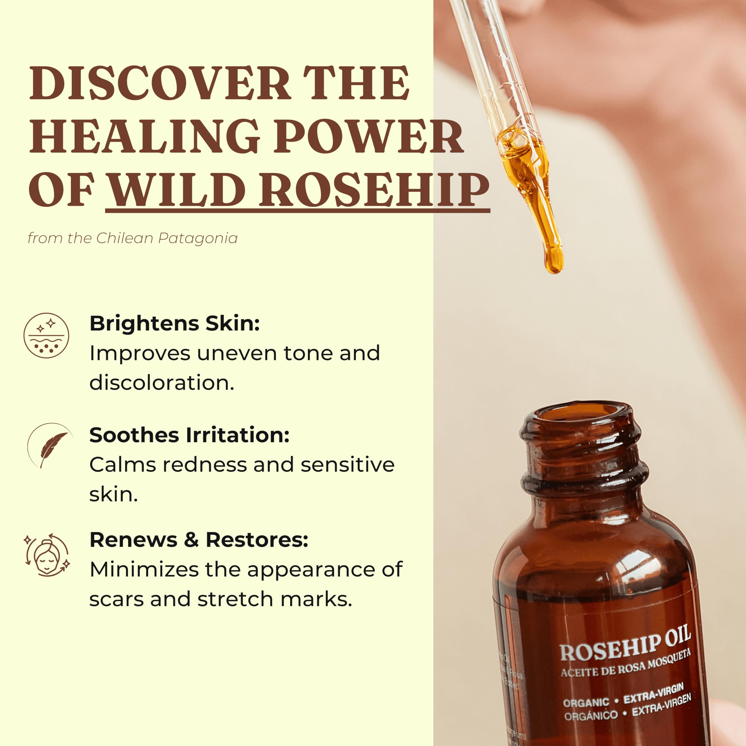 Offernova Rosehip Oil with gua sha demonstrates easy, soothing facial massage