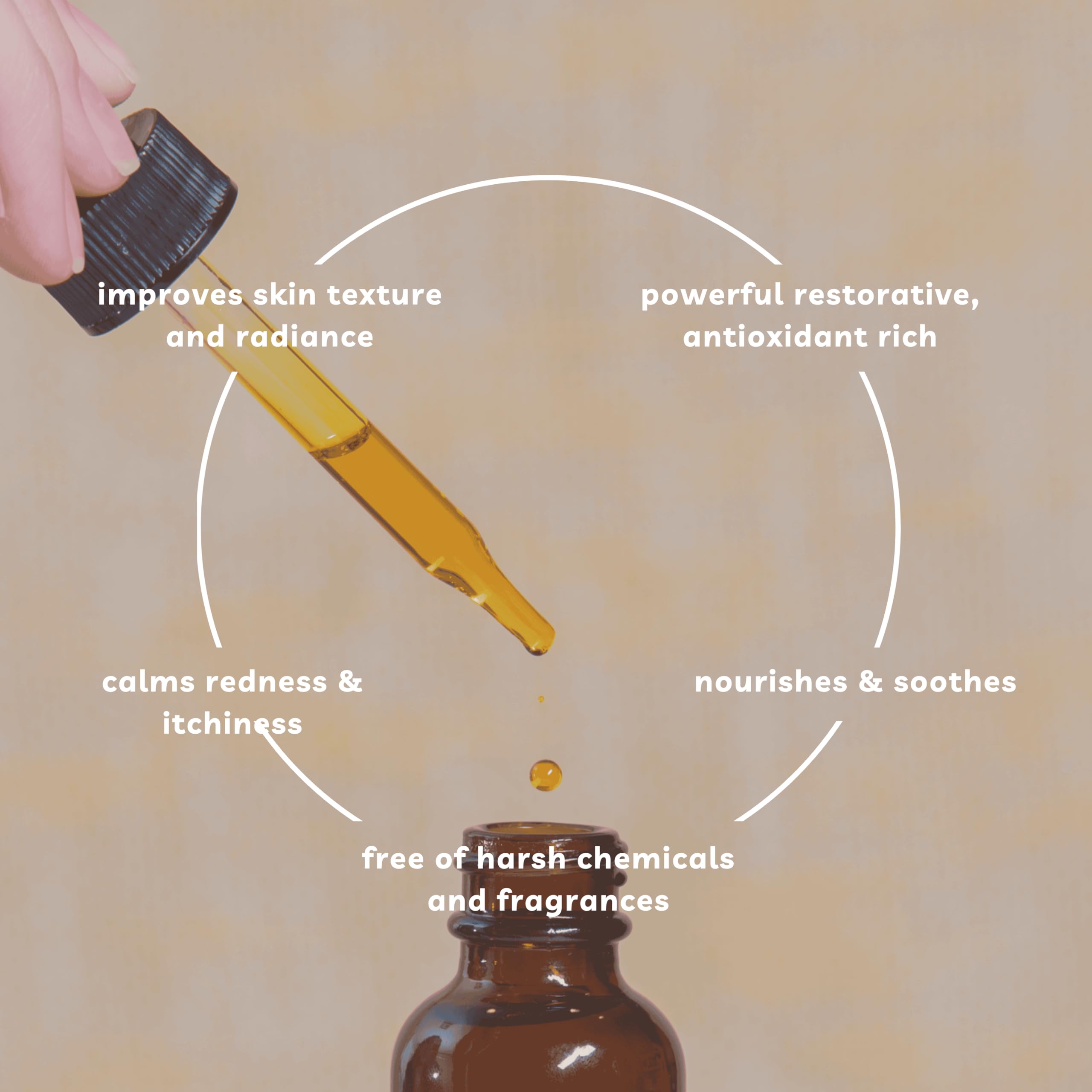 Offernova Rosehip Oil nourishing dropper ready for lightweight daily hydration