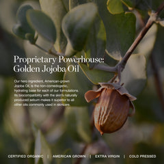 Ogee Gooseberry Fruit serum image suggests lively radiance and calm-looking skin.