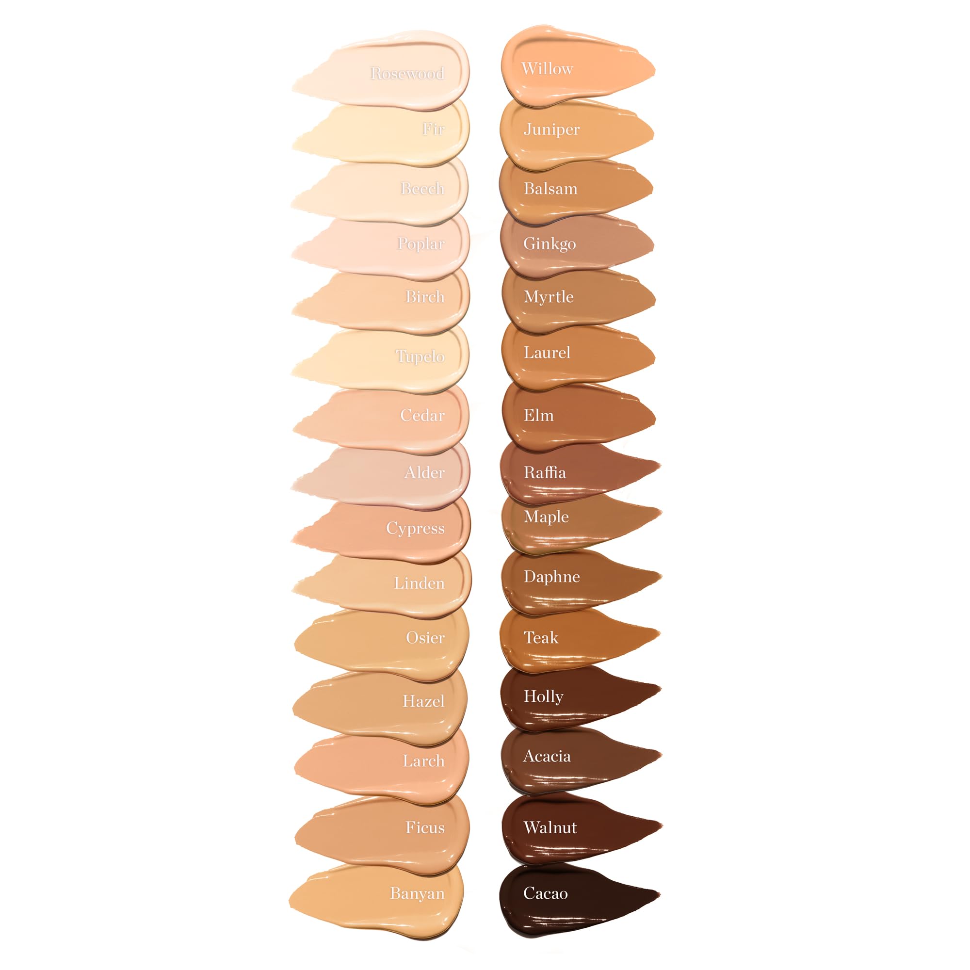 Ogee concealer swatch on skin shows even tone with golden undertones.