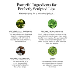 Close-up of Ogee Rosalia silky texture applying to lips