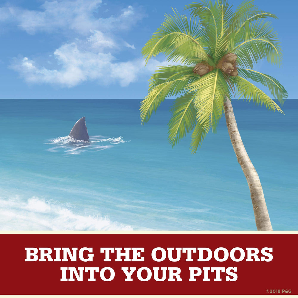 Old Spice Fiji palm tree travel-size bag fits gym bag or carry-on.