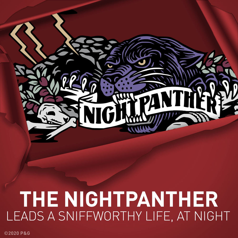 Old Spice NightPanther 48 hour protection keeps you fresh through the day