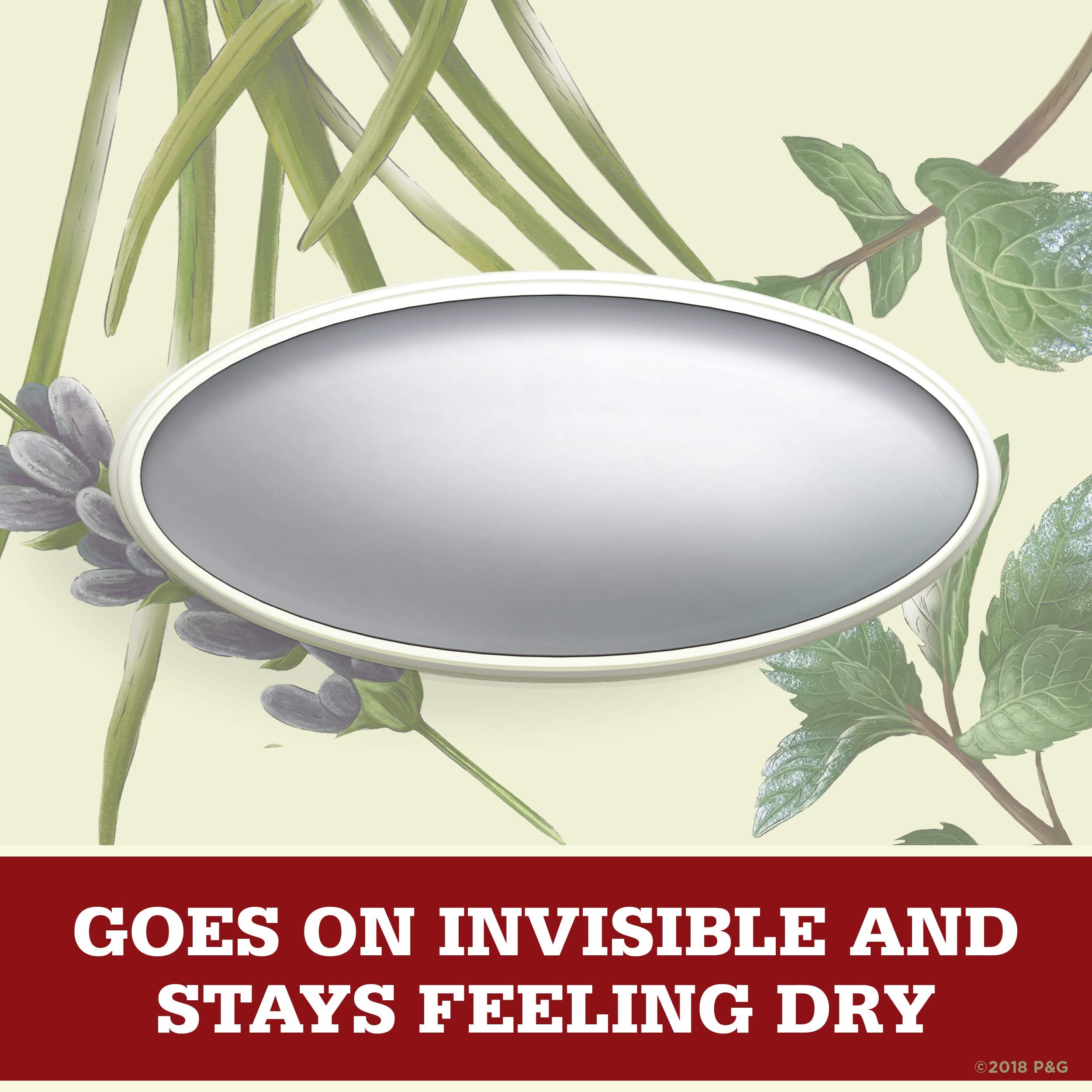 Old Spice Wilderness Lavender label closeup reveals scent notes.