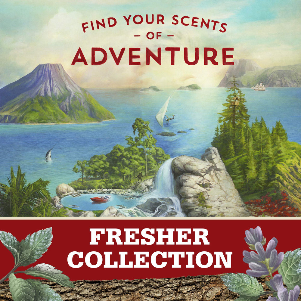 Old Spice Wilderness Lavender pack of 12 back view emphasizes quantity and convenience.