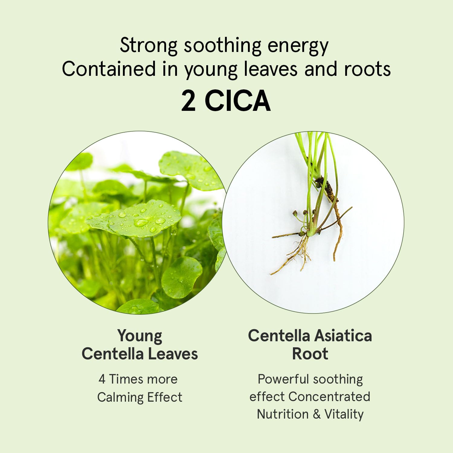 ONE THING CICA B5 Serum ingredients highlight gentle vegan formula