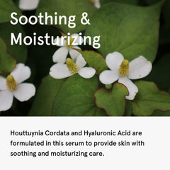 ONE THING Houttuynia Cordata Serum texture closeup shows silky, non-greasy consistency