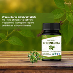Close-up of Organic Spree Bhringraj tablets for daily hair care routine.